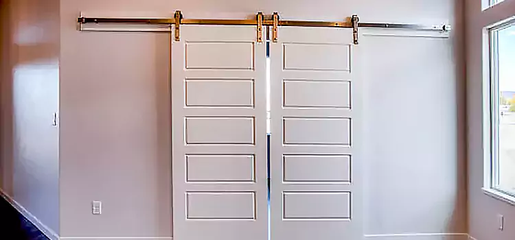 Glass Barn Door with Installation Hardware Kit Terre Haute