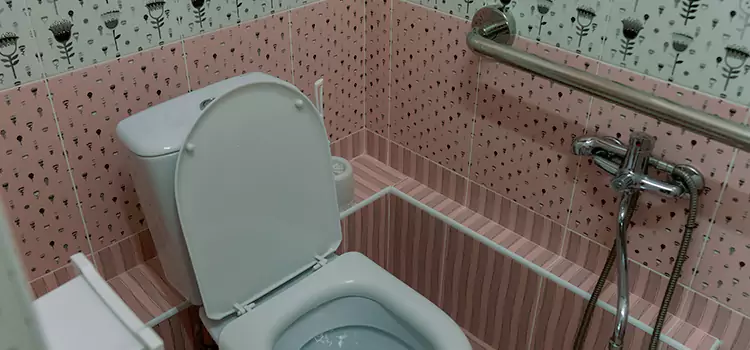 Meeting Diverse Needs With Accessible Restroom Solutions in Terre Haute, IN